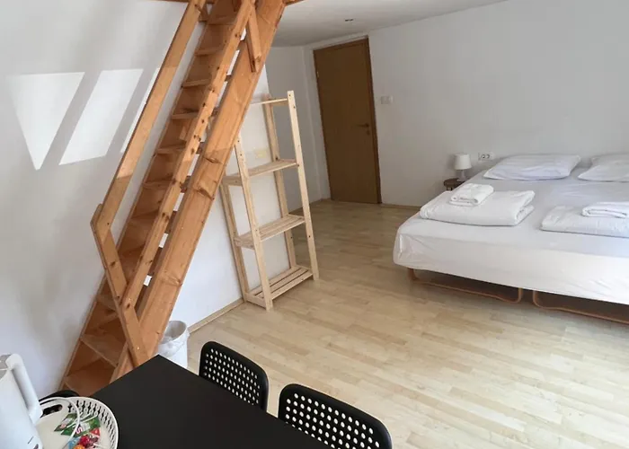 Lemonwood House 게스트하우스