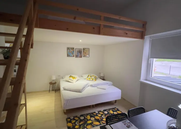 Lemonwood House ゲストハウス